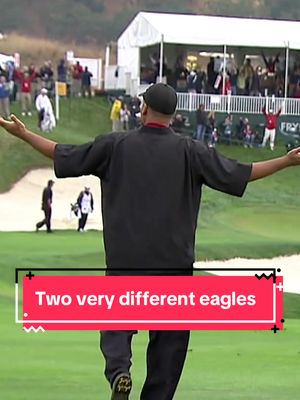 Rocco Mediate and Alex Prugh with the craziest sequence at the 2010 Procore Championship 👀  #golf #PGATOUR #highlights #TOURVault 