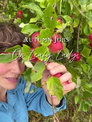 I love autumn #jobs #autumn #seasonal #narrowboatlife #boatlife #riverlife #narrowboat #lifeontheriver #stove #fireplace #apples #fruit #food #kitchen #narrowboatinterior #joy #life