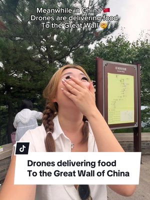I guess this is what they mean by China is living in 2050 or that we’re really behind. 😭#chinatiktok #greatwall #chinatravel #greatwallofchina #creatorsearchinsights 