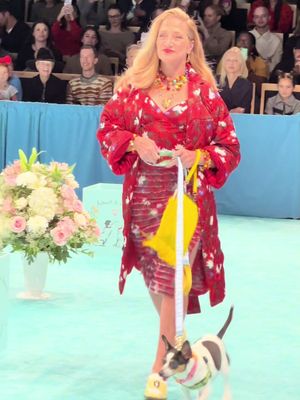 In the dog house, you might say.   @Rachel Antonoff @🌸Susan Alexandra🎀 @Animal Haven @BISSELL Clean @Milk-Bone #nyfw #animalhaven #adopt #sopranos #carmelasoprano 