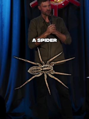 There's a good reason for why I hate spiders 😂