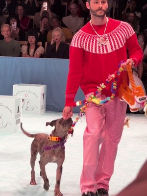 12 seconds of Dylan O’Brien walking an adoptable dog during NY Fashion Week ❤️ @Animal Haven @Rachel Antonoff @🌸Susan Alexandra🎀 @BISSELL Clean @Milk-Bone #nyfw #dylanobrien #adoptdontshop #adopt 