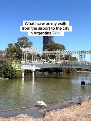 AEP airport to Palermo in Buenos Aires is the nicest 2 miles introduction to a city I’ve ever been to. 