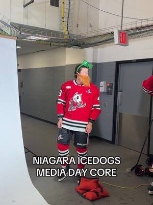 Don’t ask us what’s happening because tbh we could tell you 🥴 #HockeyTikToks #OHL #NiagaraIceDogs 
