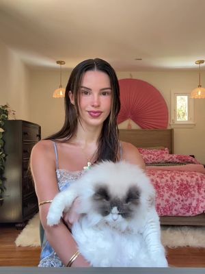 Four minutes later…done. Healthy hair, cat still unconscious. Everyone wins. @K18 Hair  @sephora #K18partner #K18results 