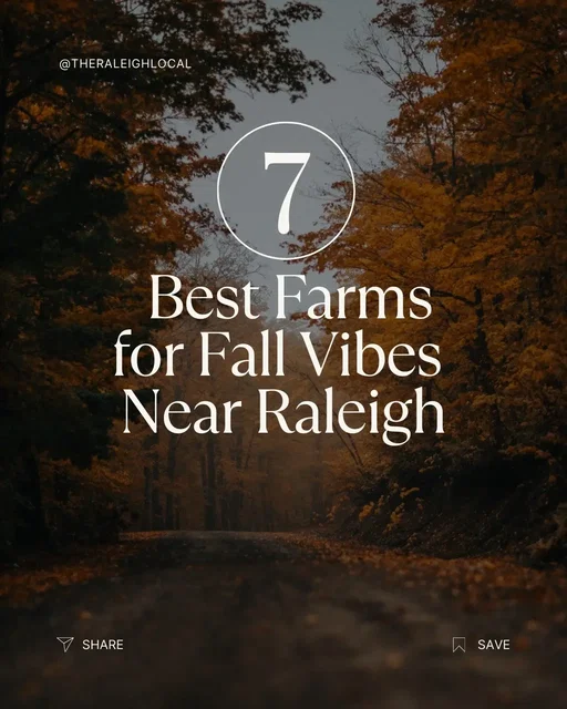 Whether you want to get lost in a corn maze, pick the perfect pumpkin, or sip cider under the autumn leaves, these farms near Raleigh have you covered! ✨ Which one’s your go-to spot? Drop a 🌽 if you’re planning a fall farm day! #RaleighLocal #PumpkinPatchRaleigh #FallInRaleigh