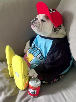 Weekend plans... #bulldog #chill #foryoupage 