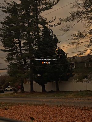 I cant wait for the falling leaves and the autumn breeze blowing through the windows filling the house with the smell of fall 🍁🍂 #bermonths #fallaesthetic #pumpkinpatch #autumn #fyp 