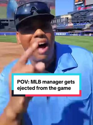 POV: MLB manager getting ejected from the game 😱 #Mets #baseball #POV #MetaGlasses 
