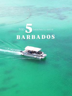 From the calm waters of Carlisle Bay, to the golden sands of Paynes Bay, the dramatic beauty of Bottom Bay, the power of Thunder Bay, and the charm of Mullins Bay… Barbados is a beach lover’s dream. Pack your swimsuit and come experience paradise for yourself. 🏝️🌊☀️🇧🇧 📹: @sightseeing.shane, thanks for sharing! #VisitBarbados #LoveBarbados #MyBarbados