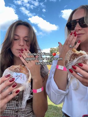 Add this to your must-try list at Lookout Farm in Natick MA 🍎🍨 #fallactivities #massachusetts @maggiegale 