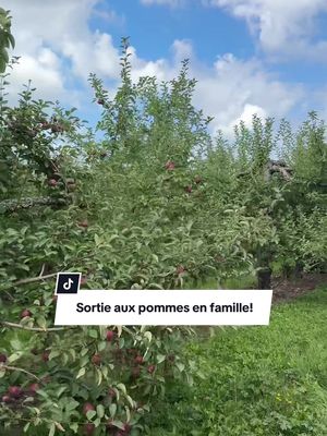 Une journée chez @vergercharbonneau avec la famille! #applepicking #pommes #montstgregoire 