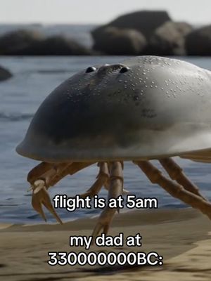 airport dads be like: #ryanair ⏰