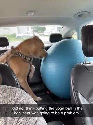 He’s having a ball