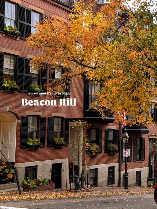 nothing quite like it!! I love strolling through my favorite neighborhoods during fall in Boston, Beacon Hill. Always so many cozy corners to see! 🍂🤍#boston #fallaesthetic #autumnleaves #fallvibes #weekendtrip 