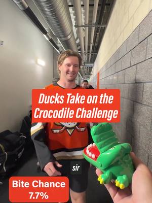 Chomp chomp 🐊 #NHL #anaheimducks #crocodile 