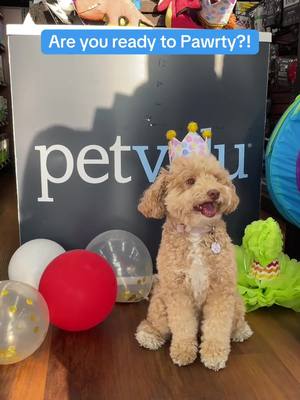 🎉 It's time to paw-rty! We're celebrating 49 years of pet love, memorable moments, and a little bit of history. Shop the anniversary sale in-store and online for a limited time: https://www.petvalu.ca/deals