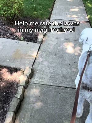 Are you the Craig of your neighborhood?
