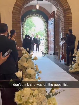 She stole the show 😂