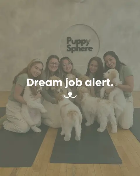 Drumroll please… Puppy Sphere is hiring! 🐾 With our newest studio open in Berkeley, CA (USA) and our launch in Winnipeg, MB (CA) in just a few weeks, our team is growing! 🎉 We’re looking for: 💛Certified Yoga Instructors who love puppies as much as they love leading gentle flows for all levels. 💛 Event Facilitators with welcoming, friendly personalities who can help keep our puppy yoga class and events running smoothly. 📍 Both roles are part-time, on-site (mostly weekends)  📧 Email jobs@doggos.ca with your resume, the specific city + role you’re applying for, and a few sentences about yourself We can’t wait to meet you! 🫶 #fyp #berkeley #winnipeg 