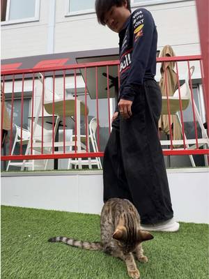 Paddock cat! Paddock cat! 🐈  #yukitsunoda #cat #funny 