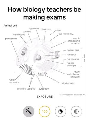 Are we deadass rn #school #fypシ #viral #meme #relatable 