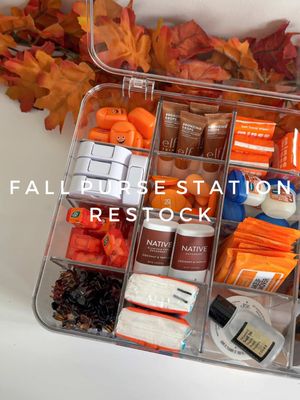 Restocking my purse station for fall 👜🍁🧡 #restock #asmr #minis #fall #beauty 
