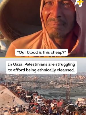 Israel is ordering hundreds of thousands of Palestinians to leave Gaza City in what could be the largest single forced displacement of the genocide. Many cannot afford to leave. #Gaza #Palestine #GazaCity #MassDisplacement #EthnicCleansing