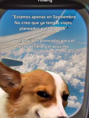 ¿Tú qué crees? 👀✈️🌍