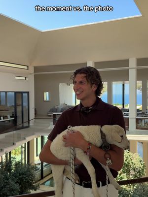 🐑 #GstaadGuy 