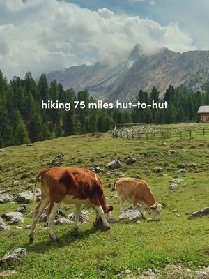 Our Alta Via 1 guide is live 🥾🏔️ The Alta Via 1 is a breathtaking multiday hut-to-hut trek that takes you through some of the Dolomites’ most gorgeous landscapes. You’ll pass by towering mountains, vibrant alpine meadows, and even some WW1 ruins. Each day truly brings you something new. In this guide, we’ve shared our personal itinerary, including a couple of days in Venice at the beginning and a couple of days in Prosecco country at the end. You’ll find tips on booking rifugios, transport to and from the trail, and much more. The best part? We’ve decided to make it completely free! You can find the guide in my profile! 🥰 ______ Alta Via 1, AV1, best hikes in the Dolomites, Dolomites tips, what to do in the Dolomites, Dolomites guide, #av1 #altavia #altavia1 #dolomites #italiandolomites 