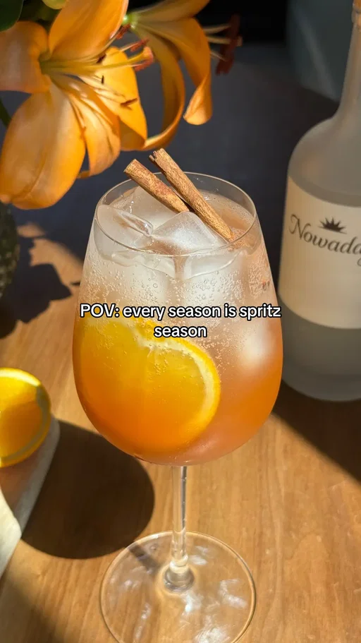 Your sign to make an Apple Cider Aperol Spritz this weekend 🍎🍃✨ #fallcocktails #appleciderrecipe #trynowadays #gardening #gardentok 