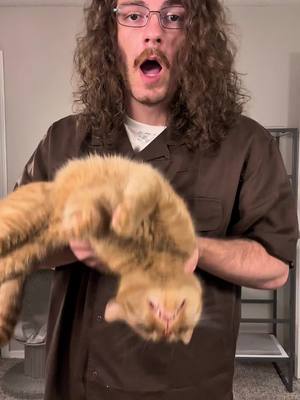 Orange cats aren’t afraid of anything. Except this. Also yes I left the tags on my shirt because idk if I want to return it. Now it’s covered in cat hair though. Also come meet nanaki and me at the @CFACatShows expo in Cleveland, OH Oct 11-12 #cat #catsoftiktok #catlovers #viralcats #orangecat #orangecatbehavior #funnycat 