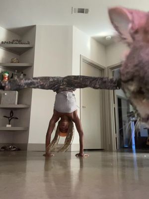 Tryna be like @Sammy Gouregeous until this heifer wanted to be nosey!🤣❤️ #kittycat  #bustasplit  #foryoupage❤️❤️ 