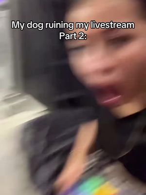 Whyyy 😭 #amycarreon #ayymay #funny #comedy #dogsoftiktok 