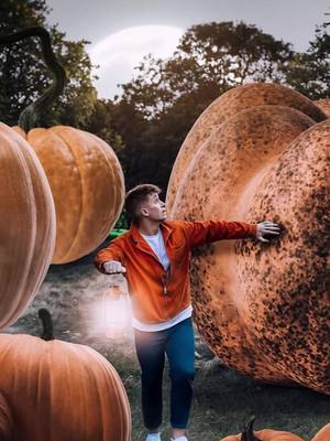 👻🎃 🧙🏽 CONTENT HACK 🔓🔥🎃  (where i made this video) I’m looking at you fashion content, lifestyle content and travel content creators 👀 AD | People are still sleeping on this free, template full, scheduling dream that is #AdobeExpress - half the work has now been done for you. Time to boost that content output everyone 🎬 and watch that following grow 📈. #AdobeExpressAmbassadors #HowToAdobeExpress #ContentHack #iPhoneTips 