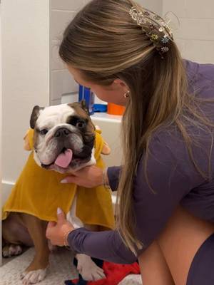 Beans’ spa day transformation from a stinky bulldog to proper gentleman 🐶🧼✨ with @DOUXO® Skin & Coat SPA. From oatmeal shampoo to wipes & ear cleaner, his coat has never looked (or felt) better! 🛁 Treat your pup to healthier skin & a shinier coat → shop now on Amazon  #duoxospa #ad #spaday #BulldogLife #dogsoftiktok 