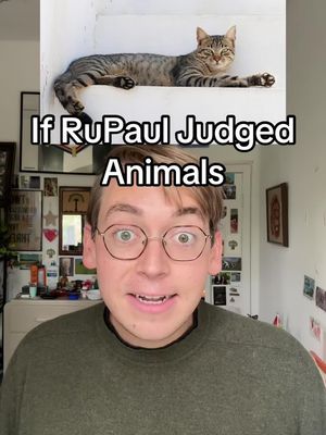 ZooPaul’s Drag Race…what should I ru-view next??? @RuPaul @RuPaul’s Drag Race 
