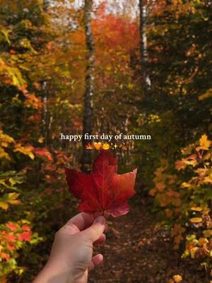 IT’S OFFICIALLY FALLLLLLLLL! 🍁🧡🎃✨ Who else is stoked that it’s finally here?! Has it been fall in my heart since fall ended last year? Yes. But can I now share things about fall and fall vibes without people being like “oh my gosh just enjoy summer”? Also yes. 🤪 Fall is the best season of all and I am so ready for everything it has in store! Even though it will still take at least a few weeks for it to fully arrive here, we have already been seeing signs of fall starting! Some pumpkins have been showing up at the farmers market along with lots of squash, we’ve had cooler mornings and evenings, and even some leaves have started to change and fall! 🍁 Trips to the pumpkin patch and cider mill are not far off! Have you seen any signs of fall where you live yet?! 🍂 #firstdayoffall #autumnequinox #fallvibes #autumnaesthetic #fallfoliage 