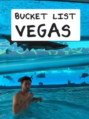 Not… this Vegas. 👀 PART 2!! - Vegas’s biggest budget deals EVER just dropped now, head to the 🔗 bio to learn more —————————— 📢 [ΡARTNЕR] Thank you @vegas for making this video on this video! #VegasPartner —————————— The best things to do in Las Vegas, on a budget, and for free. Save this budget 24 itinerary for later! 💯  (*All activity info in this video is as of September 22, 2025*) #travel #bucketlist #vegas #MeanwhileinVegas