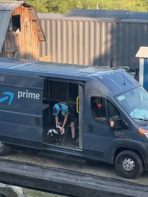 I guess you could say Amazon Same-Day Delivery is the G.O.A.T 🐐 #amazondelivery #goat