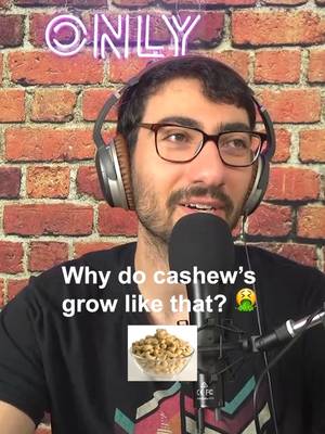 Cashews must be stopped ❌️