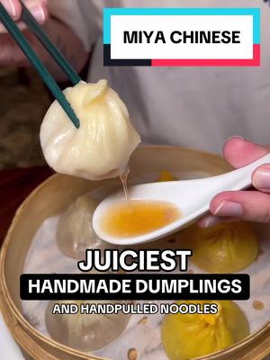 JUICIEST HANDMADE DUMPLINGS & HANDPULLED NOODLES 🥟 #dallasfoodie #chinesefood #dumplings #dallaseats #dallasfood 