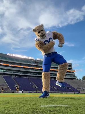 bout time this dance made a comeback #cosmo #BYU #CollegeFootball 