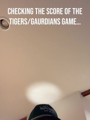 Oh no… #tigers #baseball #MLB #panic #sad