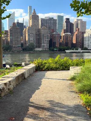 #nyc #newyork #newyorkcity 