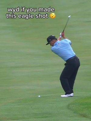 We’d lose our minds all over again 🤯 #ironsharpensiron #eagleshot #livgolf #golftiktok #golf 