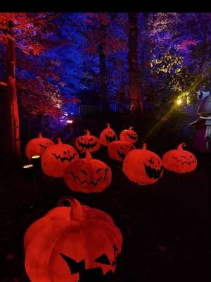 Now I need to go watch the movie! The light trail was amazing @New York Botanical Garden @TNBC Light Trail  • • #nycactivities #nycdateidea #nycfallactivities #nightmarebeforechristmas #nybg 