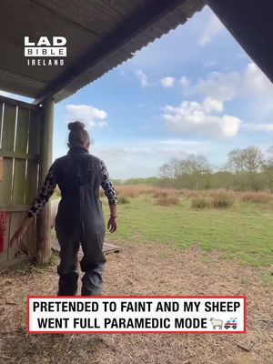 He was going to perform Shee-P-R 🤪 ( @viralhog ) #fyp #tiktoker #viral #irishtiktok #ireland #irishhumour #video #videos #irish #funny