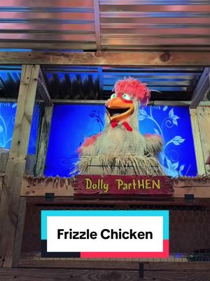 Frizzle Chicken Farmhouse Cafe in Pigeon Forge, Tennessee is not only delicious but such a fun atmosphere! All of the animatronic chickens are named after different celebrities. I highly recommend getting either the chicken & waffles or the cinnamon roll pancakes! #pigeonforge #frizzlechicken #gatlinburg #gatlinburgtennessee #pigeonforgetennessee 